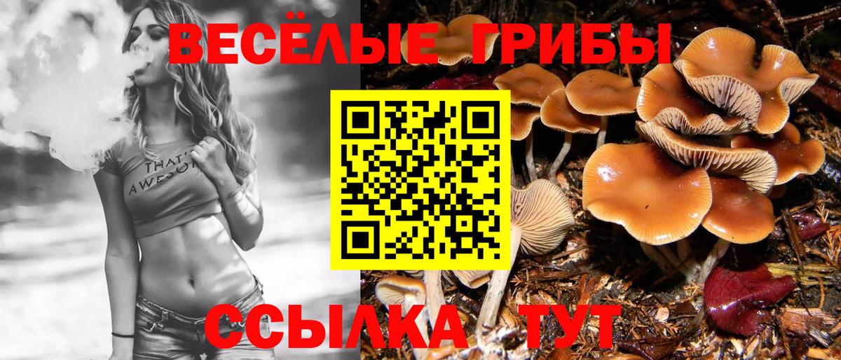 Галлюциногенные грибы Psilocybine cubensis  купить наркоту  Батайск  Вход с VPN  Псилоцибиновые грибы Magic Shrooms 